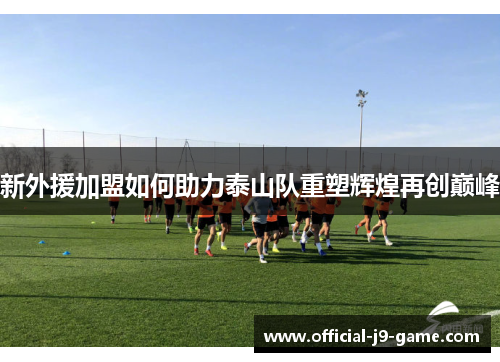 新外援加盟如何助力泰山队重塑辉煌再创巅峰