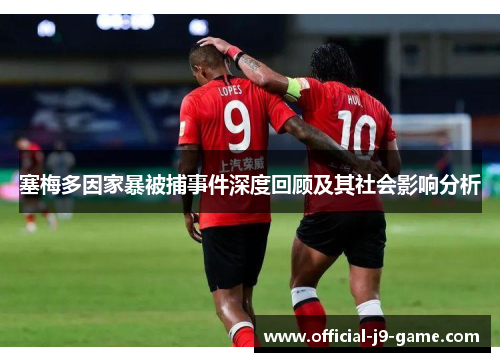 塞梅多因家暴被捕事件深度回顾及其社会影响分析