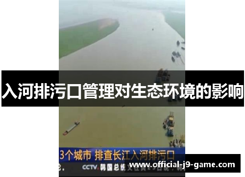 入河排污口管理对生态环境的影响