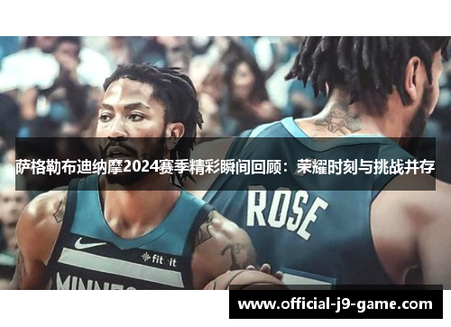 萨格勒布迪纳摩2024赛季精彩瞬间回顾：荣耀时刻与挑战并存