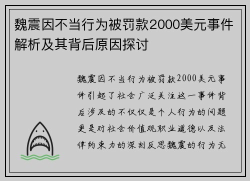 魏震因不当行为被罚款2000美元事件解析及其背后原因探讨