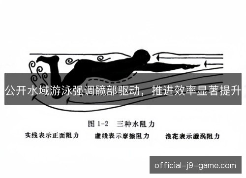 公开水域游泳强调髋部驱动，推进效率显著提升